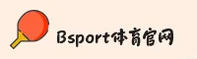 使用指南与常见问题