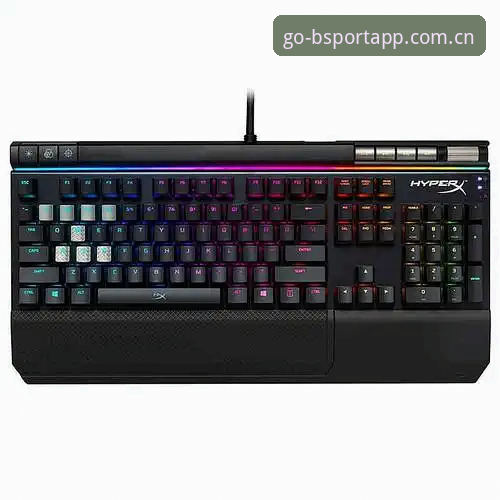 bsport体育最新版功能详解：v3.1.0版本深度剖析与实战体验